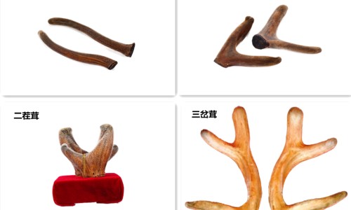 干伏姜片湖南特产-干伏姜的功效网 - 网站提供干伏姜的作用小常识、伏姜和干姜得功效区别