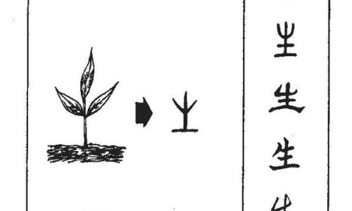 干伏姜的功效网 - 网站提供干伏姜的作用小常识、伏姜和干姜得功效区别